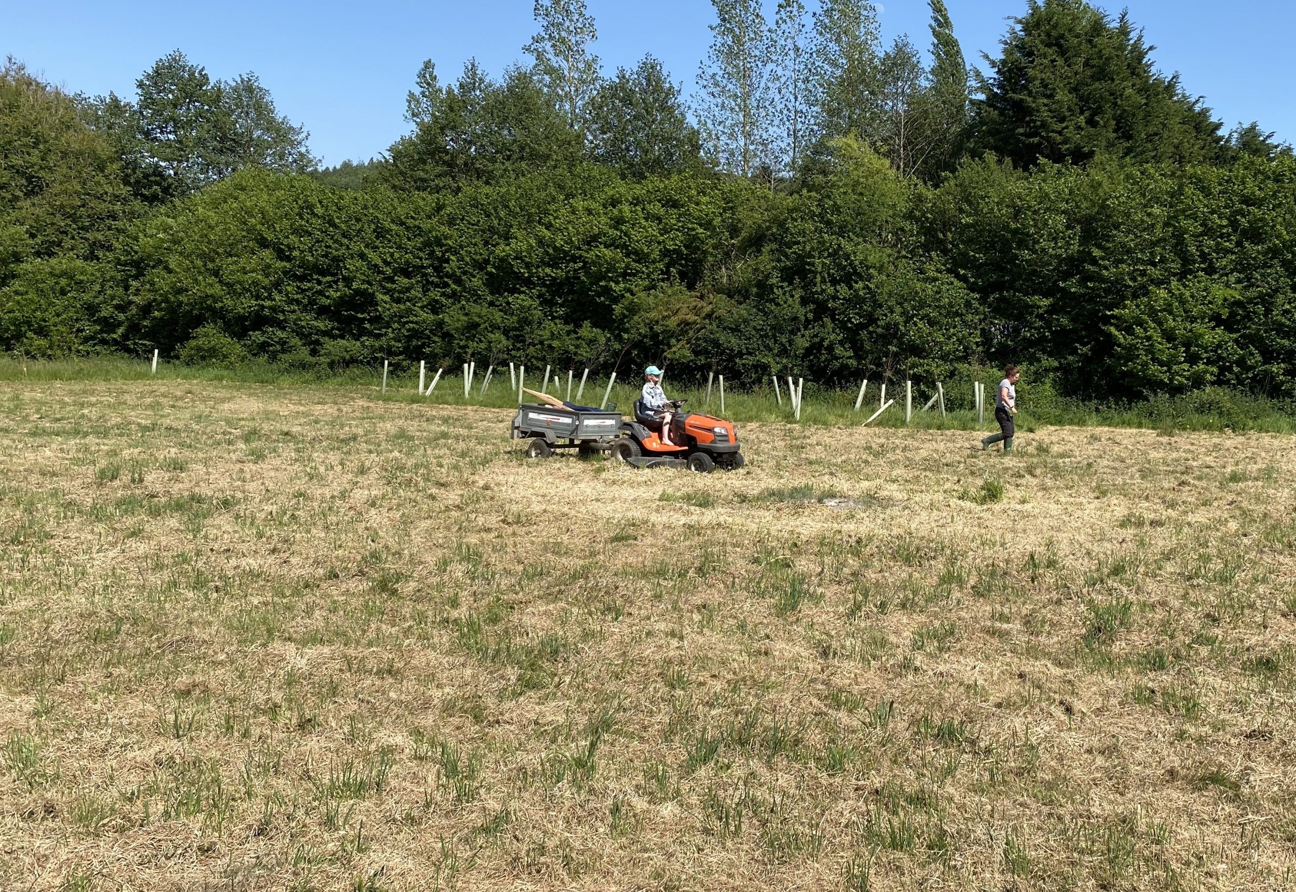 Gracie riding lawn mower in field